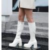 imageAnkis Knee High Boots Platform Boots for Women Chunky Heel Side Zipper Long GOGO BootsBeige Pu